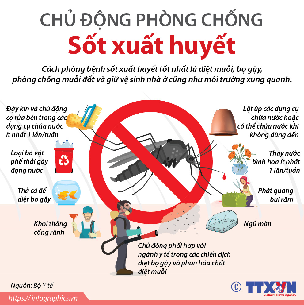 Xã Hòa Minh chủ động phòng, chống bệnh sốt xuất huyết